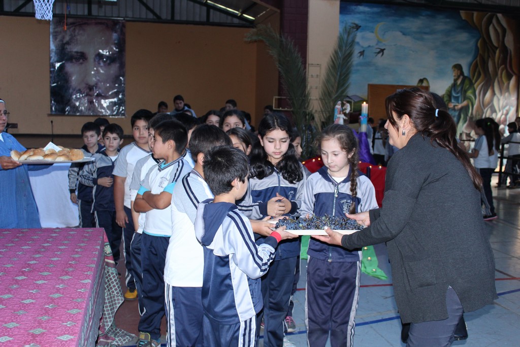 IMG_9715 (Copiar)