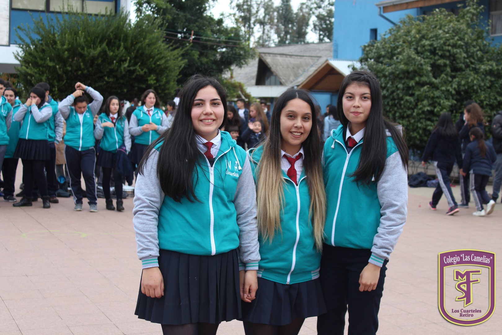 IMG_0687 (Copiar)