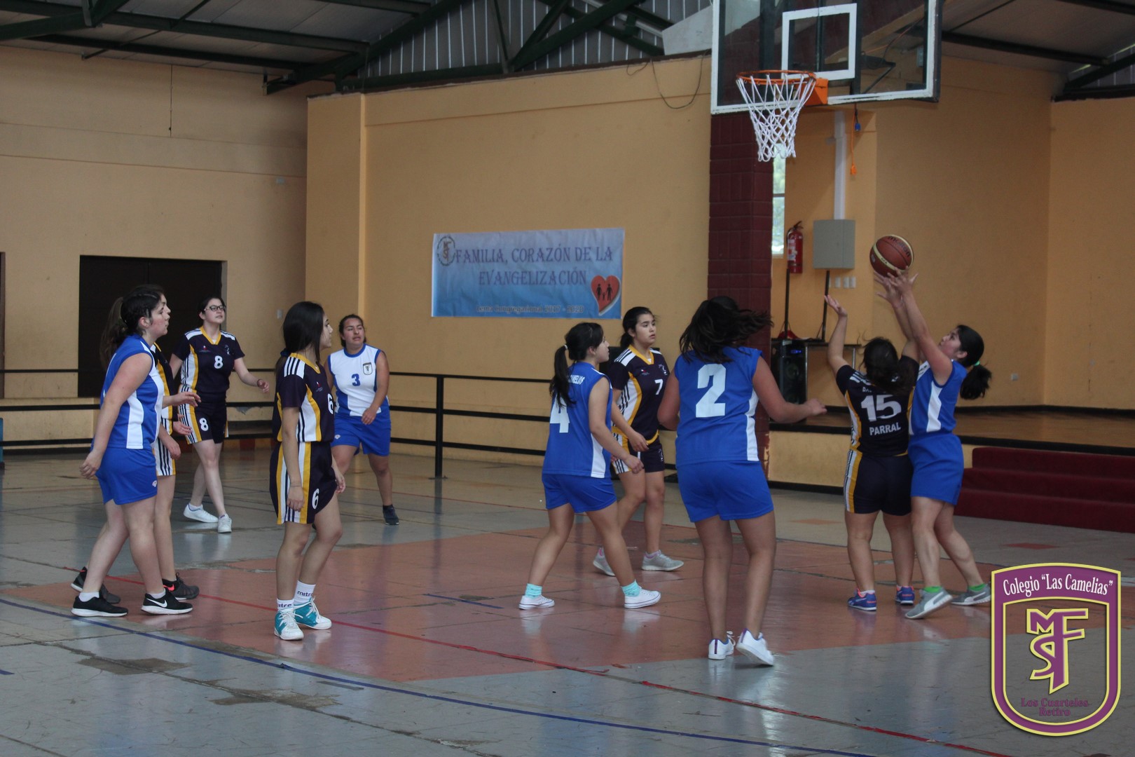 IMG_0718 (Copiar)