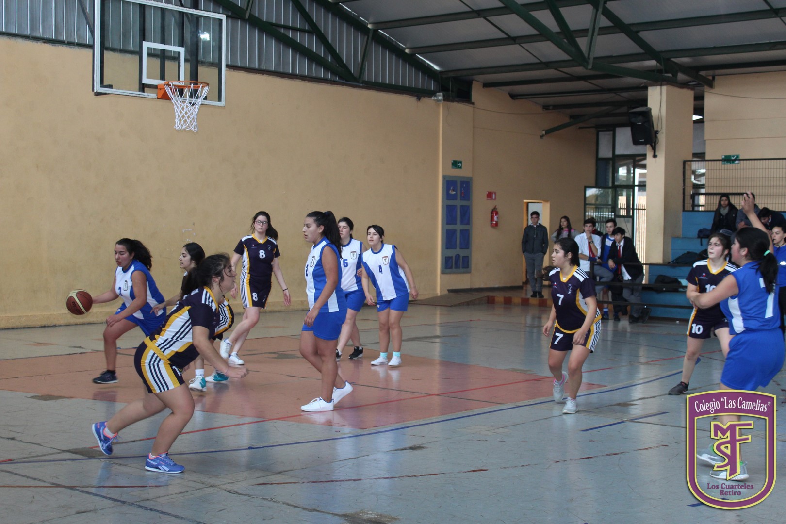 IMG_0724 (Copiar)