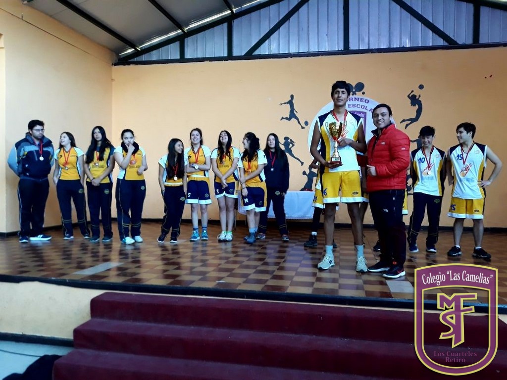 13 (Copiar)