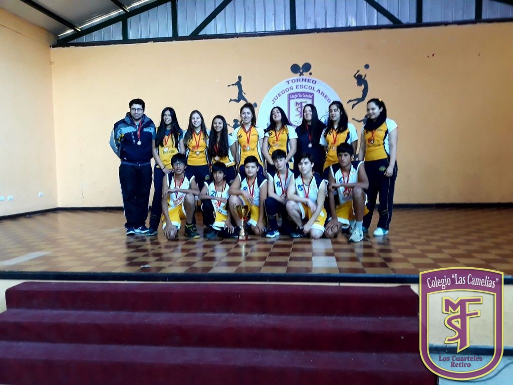 17 (Copiar)