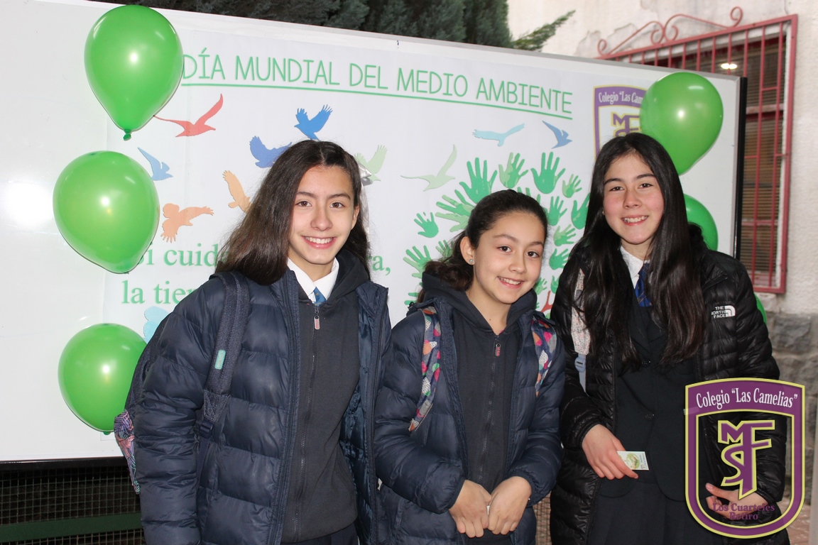 IMG_2697 (Copiar)