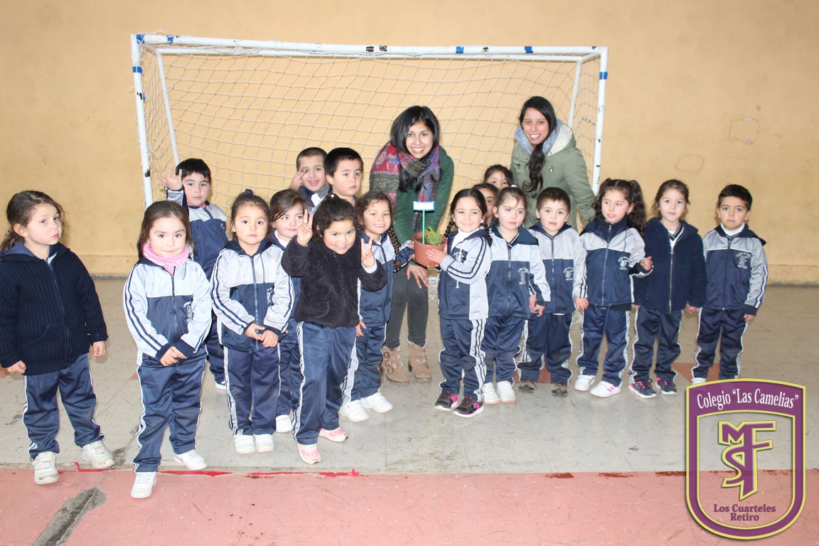 IMG_2706 (Copiar)