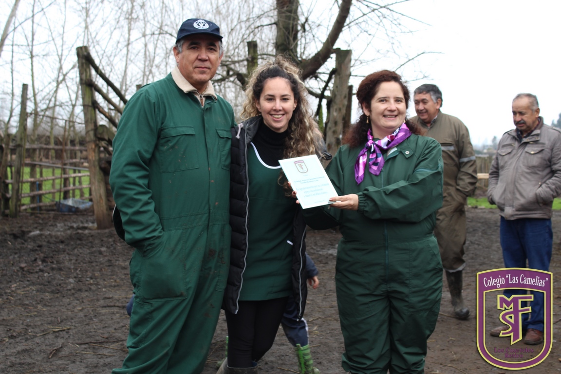 IMG_3634 (Copiar)