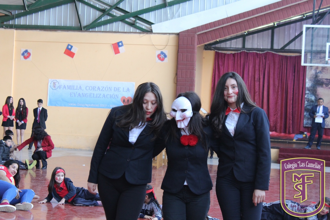 IMG_2026 (Copiar)