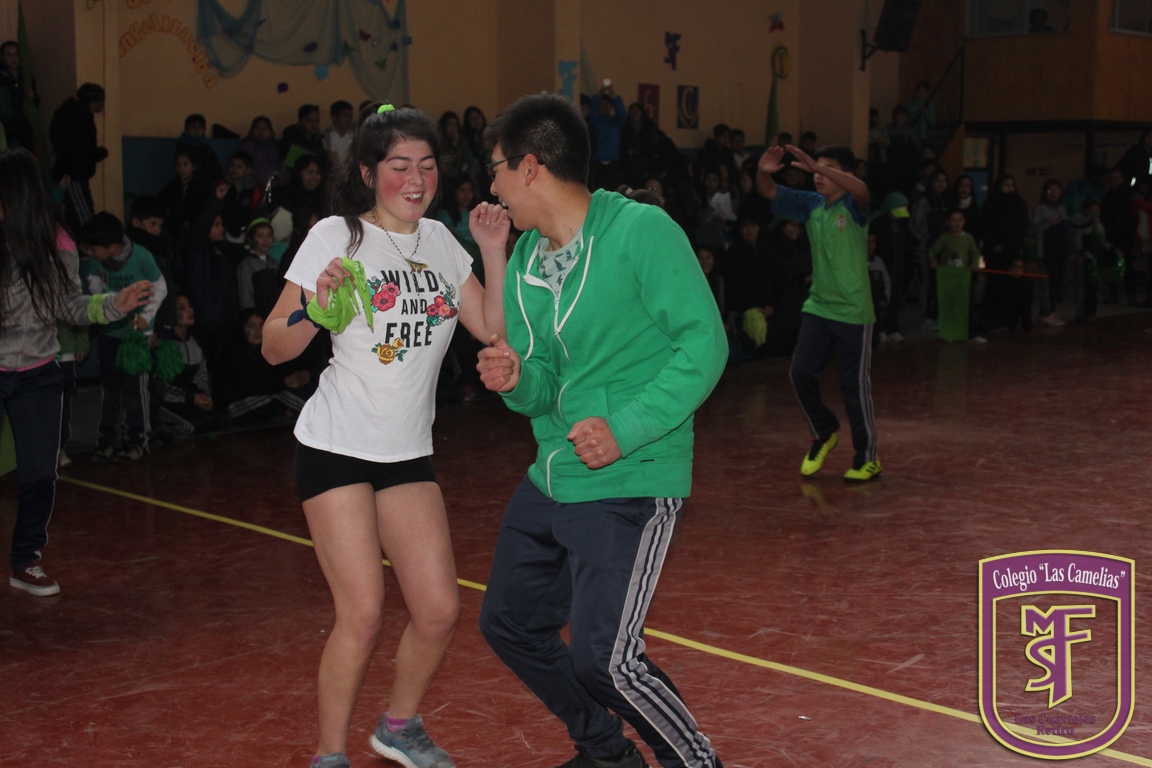 IMG_2522 (Copiar)