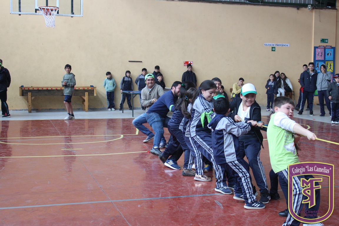 IMG_2562 (Copiar)