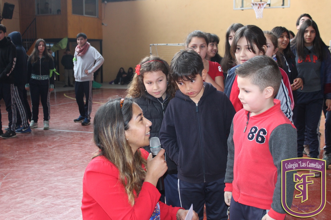 IMG_2763 (Copiar)