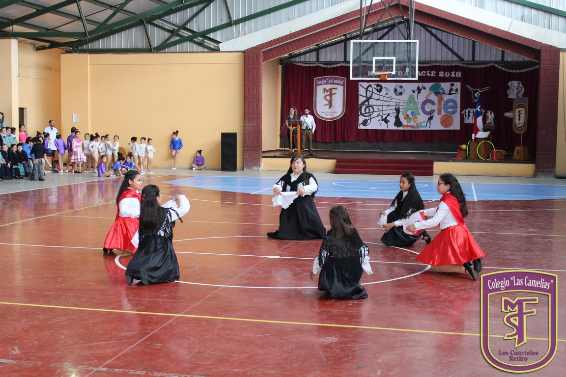 IMG_7883 (Copiar)